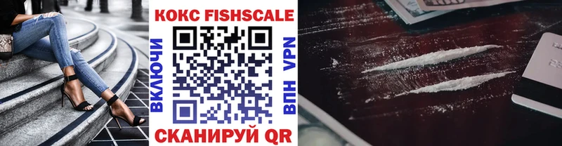 Кокаин FishScale  купить наркоту  Солнечногорск 