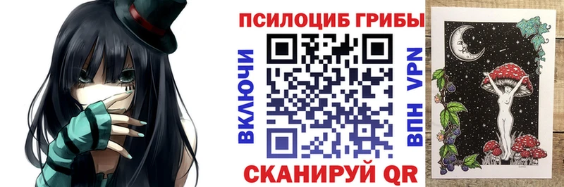 купить сайты Солнечногорск Галлюциногенные грибы Cubensis