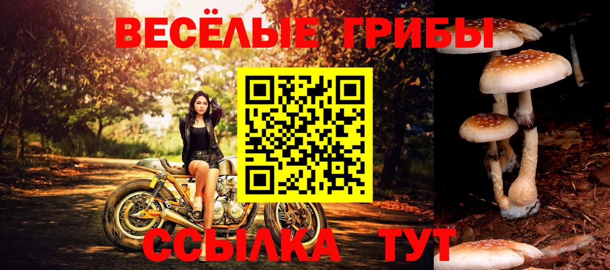 Галлюциногенные грибы прущие грибы Солнечногорск