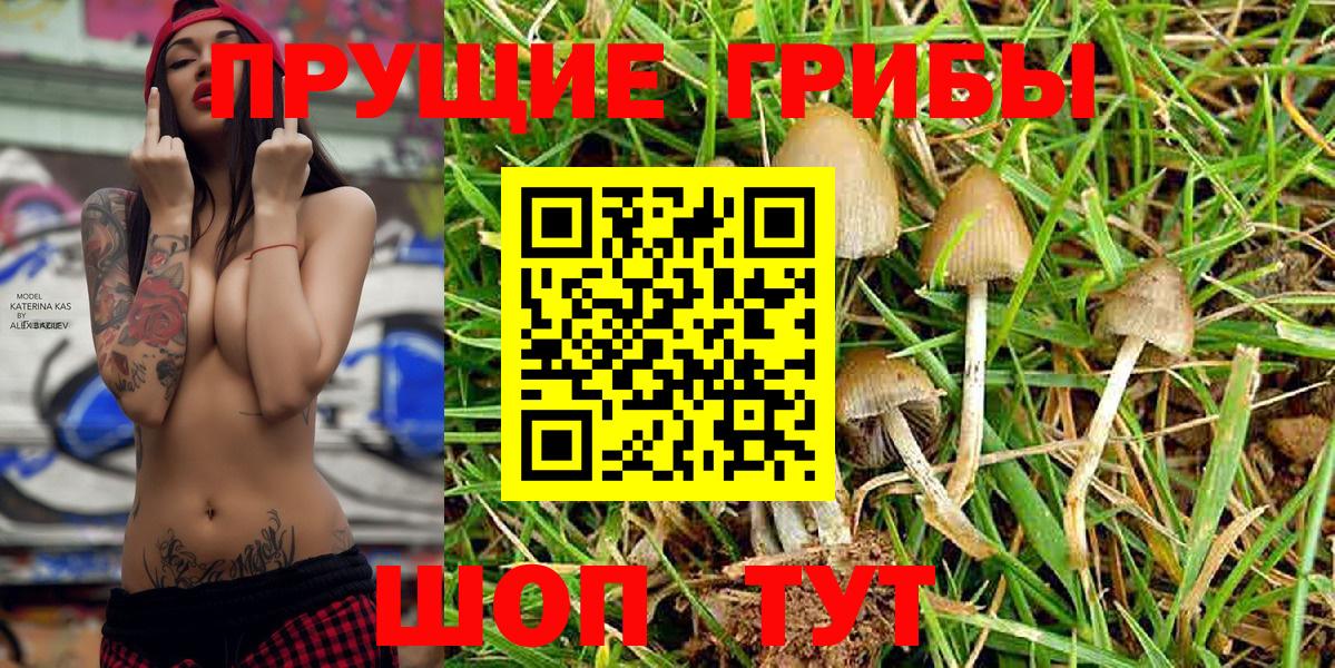 Галлюциногенные грибы MAGIC MUSHROOMS  Псилоцибиновые грибы мицелий  Солнечногорск 